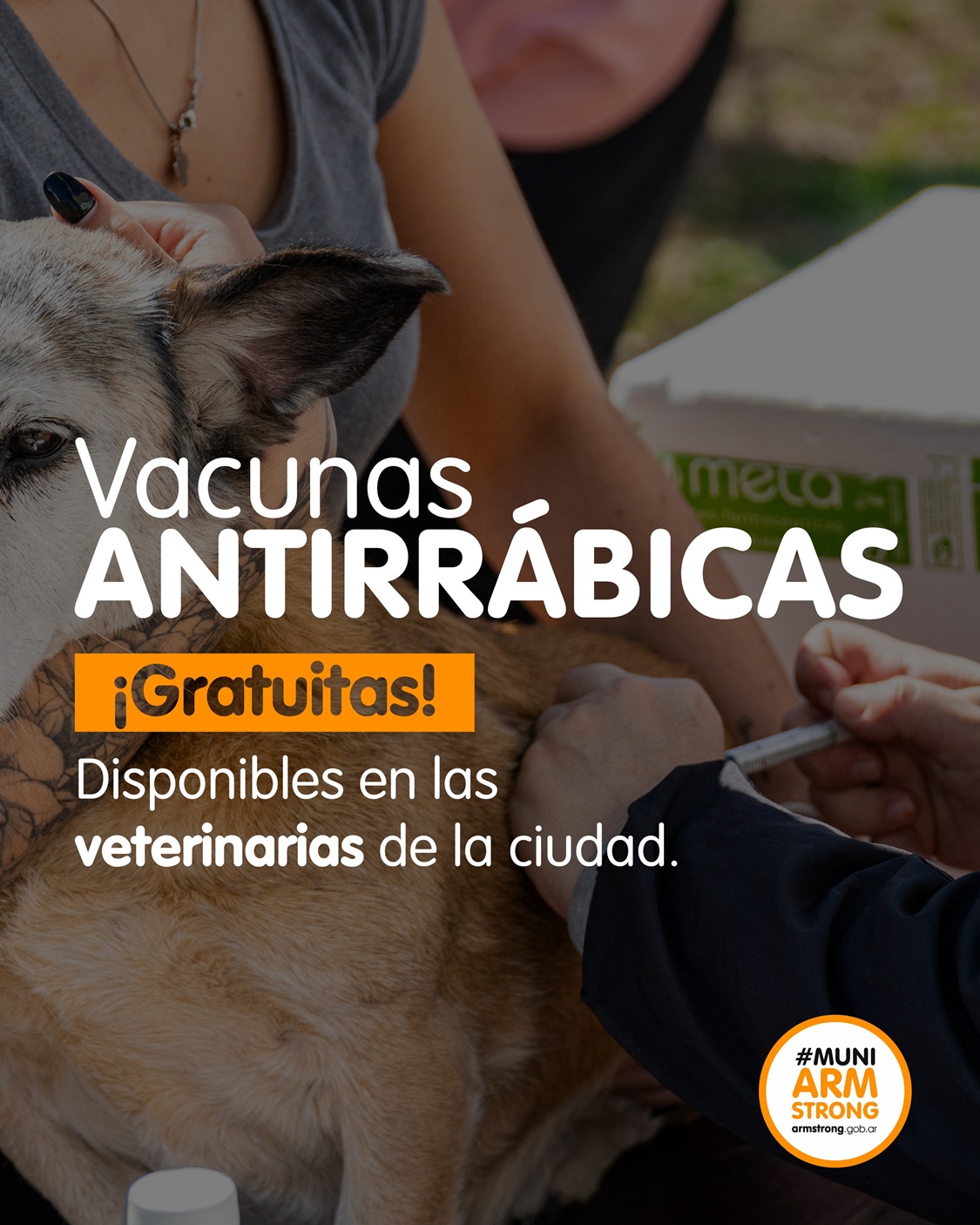 Vacunación antirrábica gratuita
